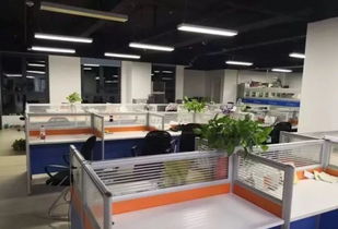 跨界奇遇 土雞蛋、辣條與技術咨詢的意外碰撞